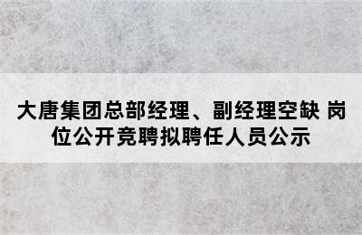 大唐集团总部经理、副经理空缺 岗位公开竞聘拟聘任人员公示